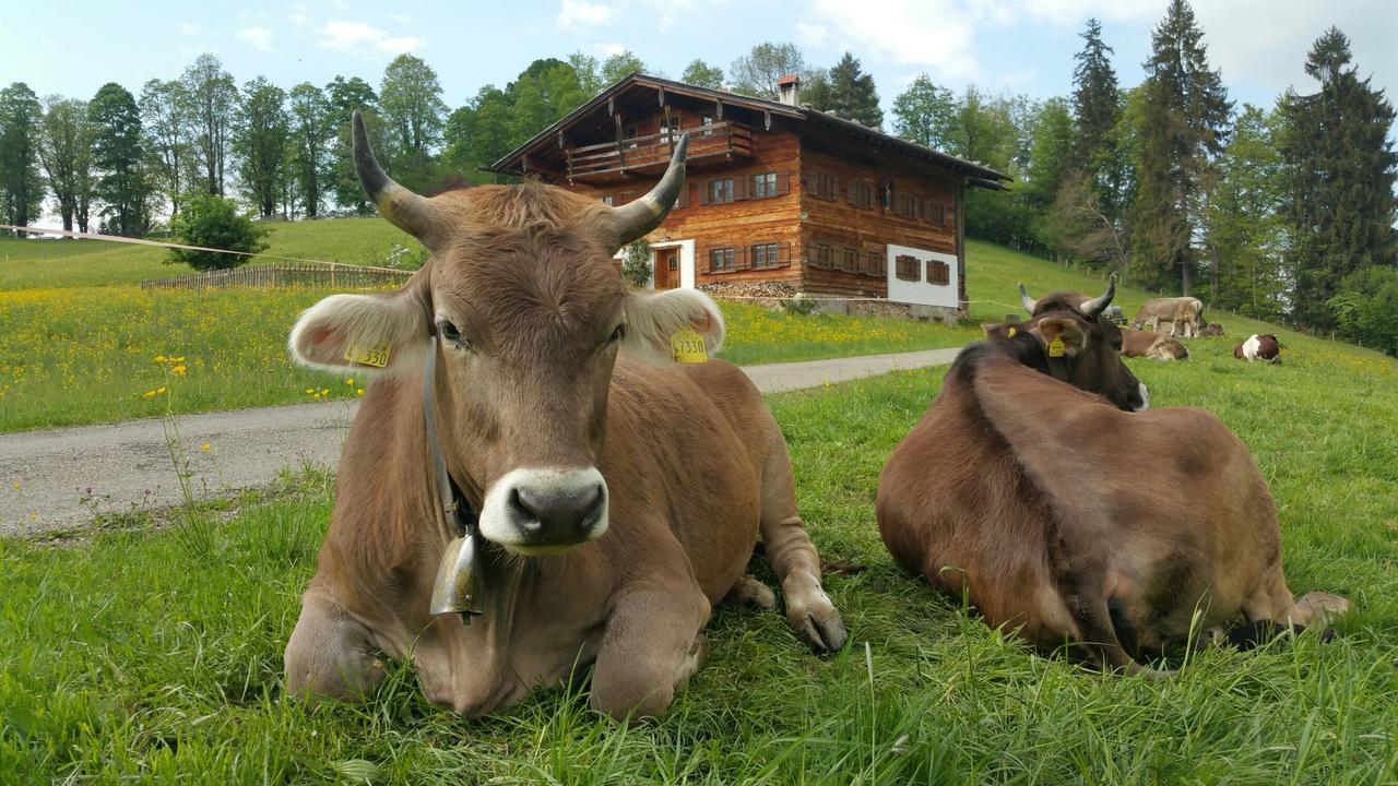 Hotel Cafe Fuggerhof Oberstdorf Exteriör bild